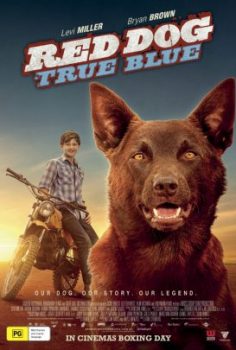 Red Dog: True Blue izle